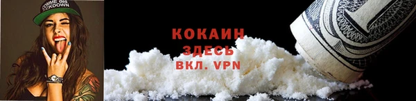 PSILOCYBIN Козловка
