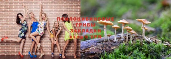 гидропоника Коряжма